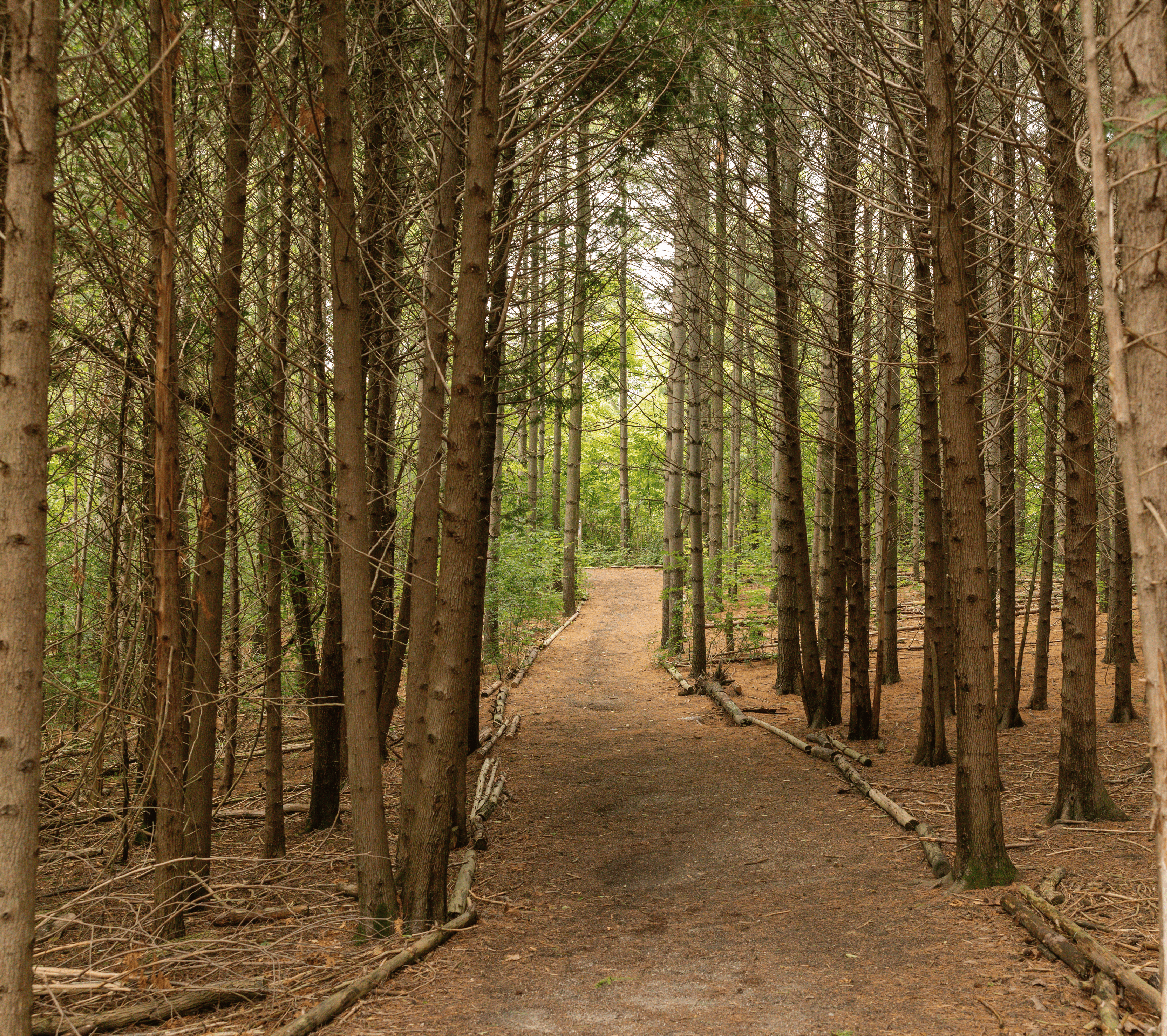 Kortright Centre for Conservation